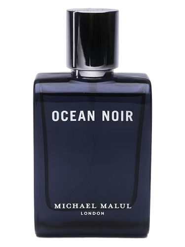 Ocean Noir by Michael Malul - fragrance decant sample